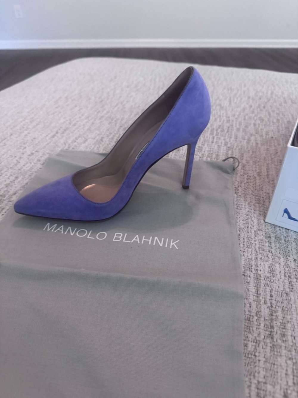 Manolo Blahnik Blue-Violet Suede Pointed-Toe Stiletto Pump